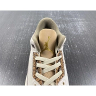 CT8532-102 Jordan Air Palomino 3 0816